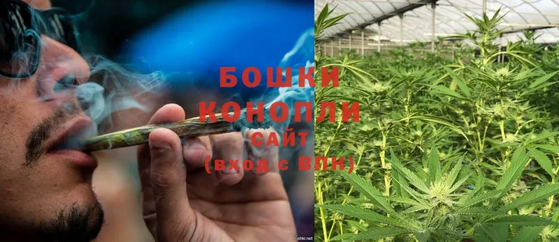 OMG как зайти  продажа наркотиков  Сертолово  Канабис OG Kush 